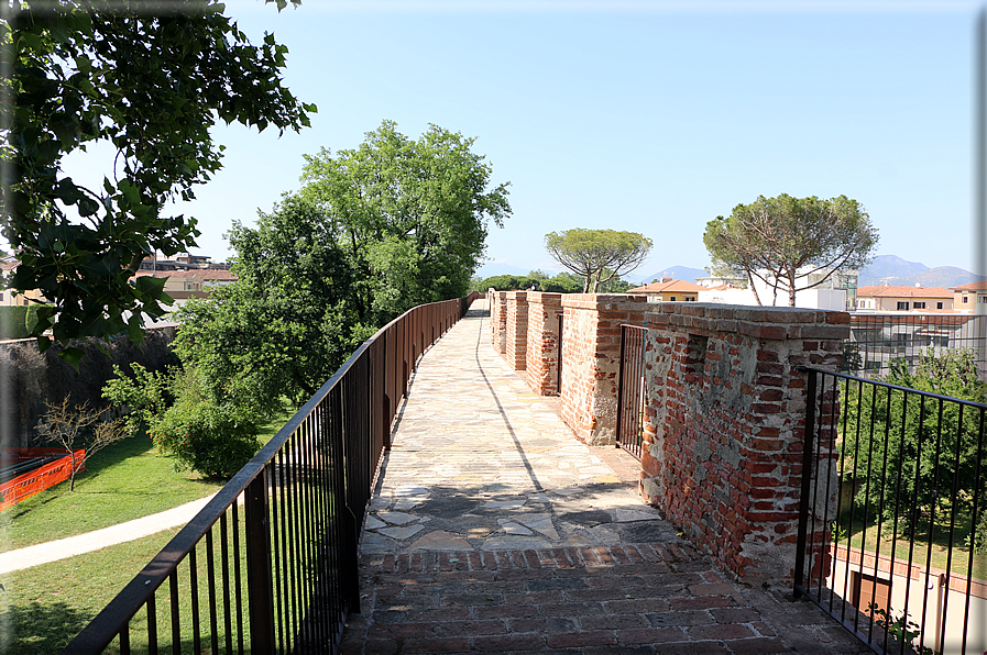 foto Camminamento delle mura di Pisa